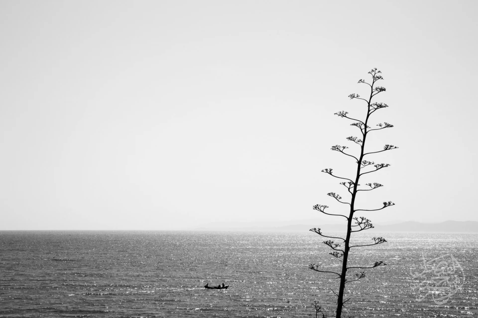 تونس Tunisia