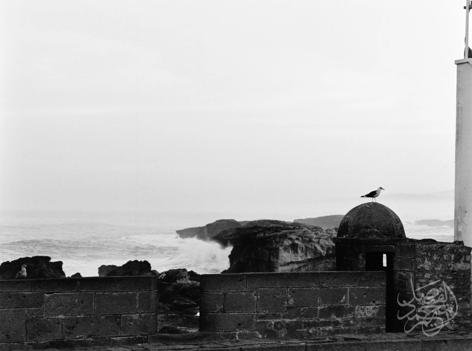 Morocco المغرب