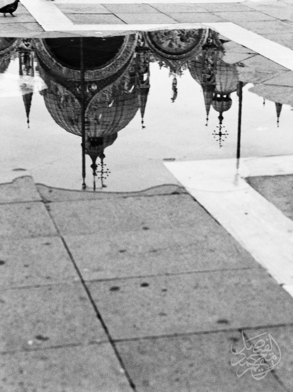 Italy - Venice ايطاليا - فينيسيا