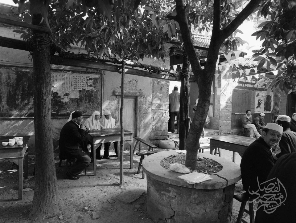 Dali Mosaque دالي موزاييك