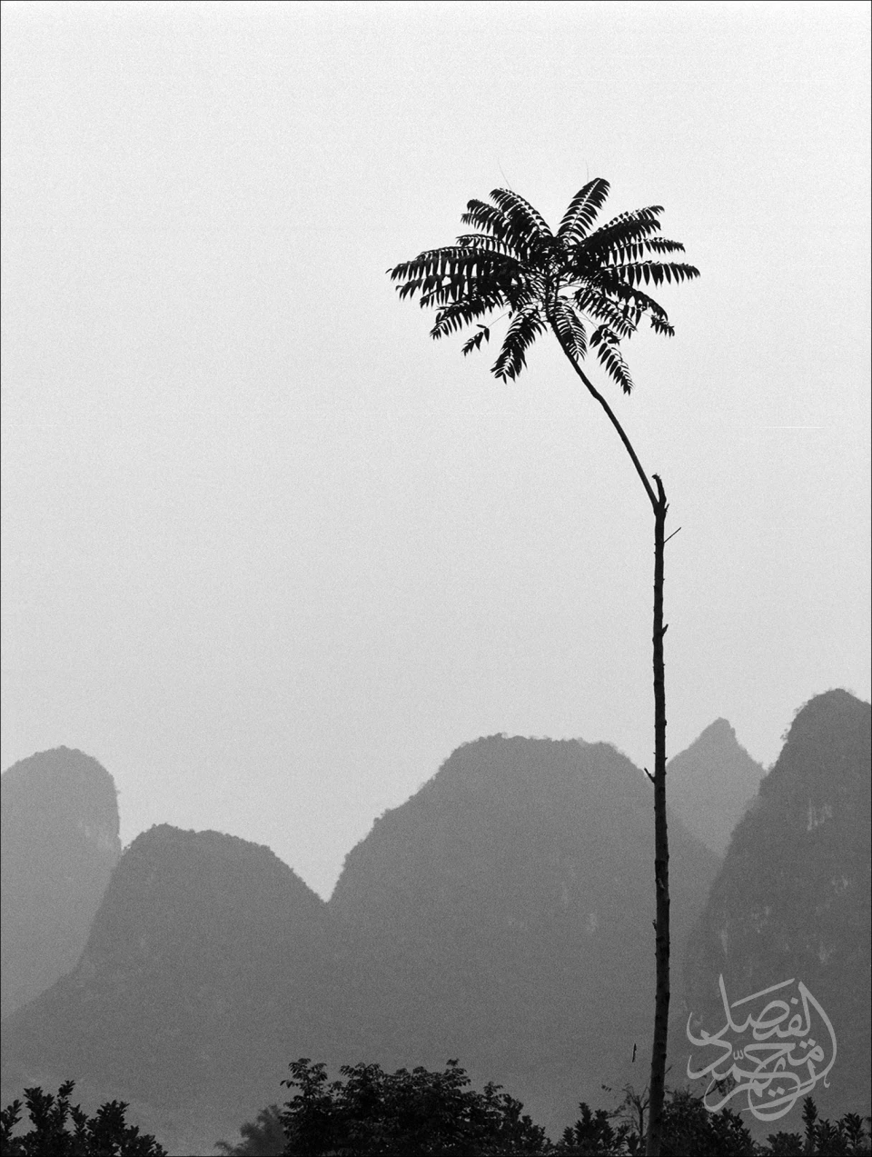 China - Yunnan Prefecture-Guilin الصين - ولاية يونان