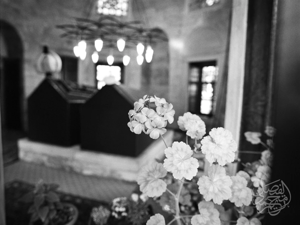 Turkey - Istanbul - Mosque Sumbul Efendi Camii تركيا - اسطنبول -
