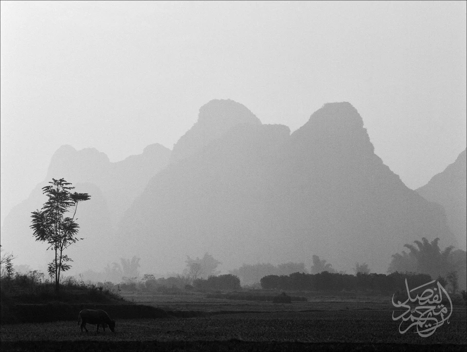 China - Yunnan Prefecture-Guilin الصين - ولاية يونان