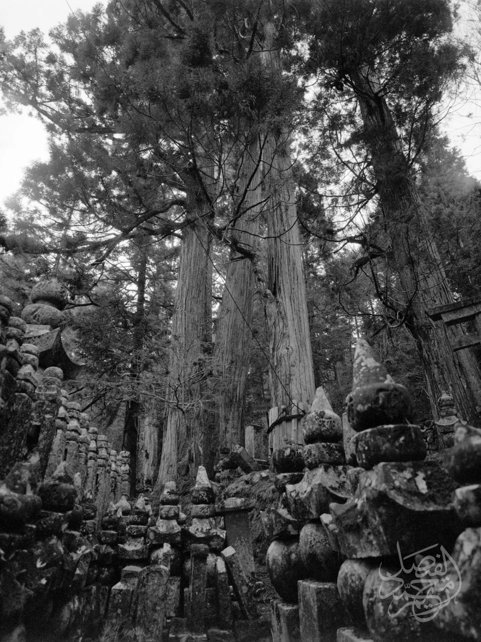 Japan - Koysan Cemetery اليابان - مقبرة كويسان