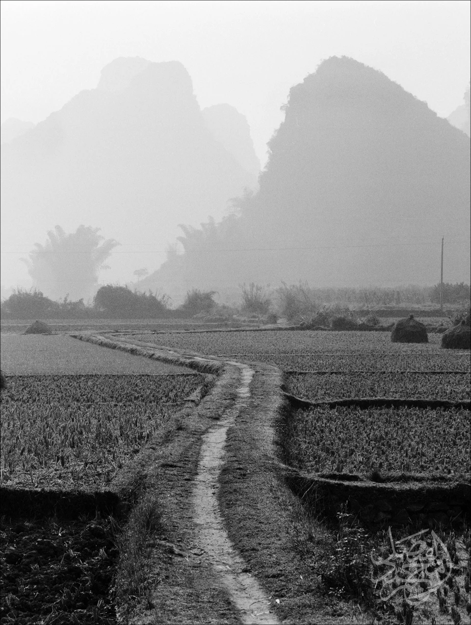 China - Guilin Yunnan Prefecture الصين - ولاية يونان